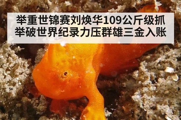 举重世锦赛刘焕华109公斤级抓举破世界纪录力压群雄三金入账